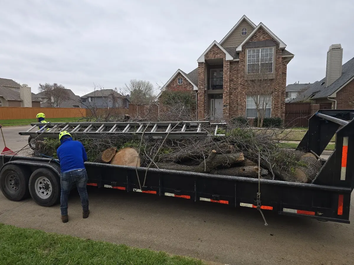 Expert Tree Fertilization with proper safety equipment in Goodells
